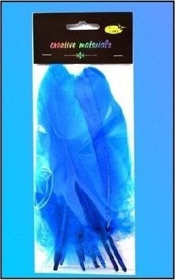 Teka Piórka twarde pacyfik 10szt