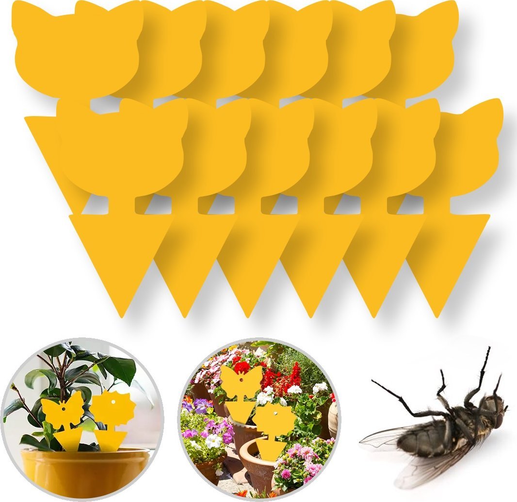 SHOPUJ.PL LEP NA MUSZKI, OWADY, MSZYCE KOT ZESTAW 12 SZTUK