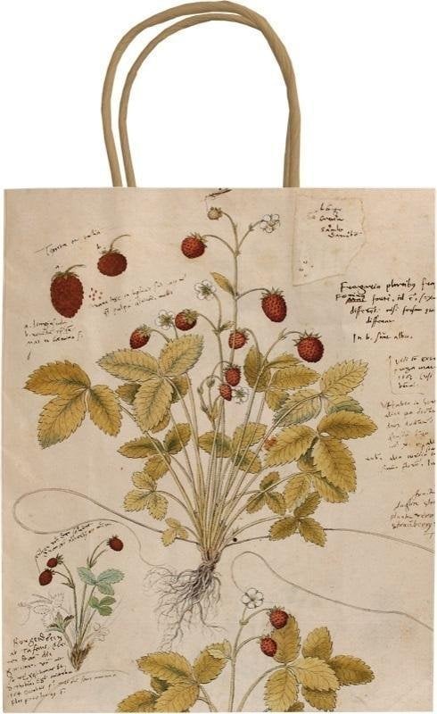 Skona Ting Torebka ozdobna A5 STBAG118 Poziomka