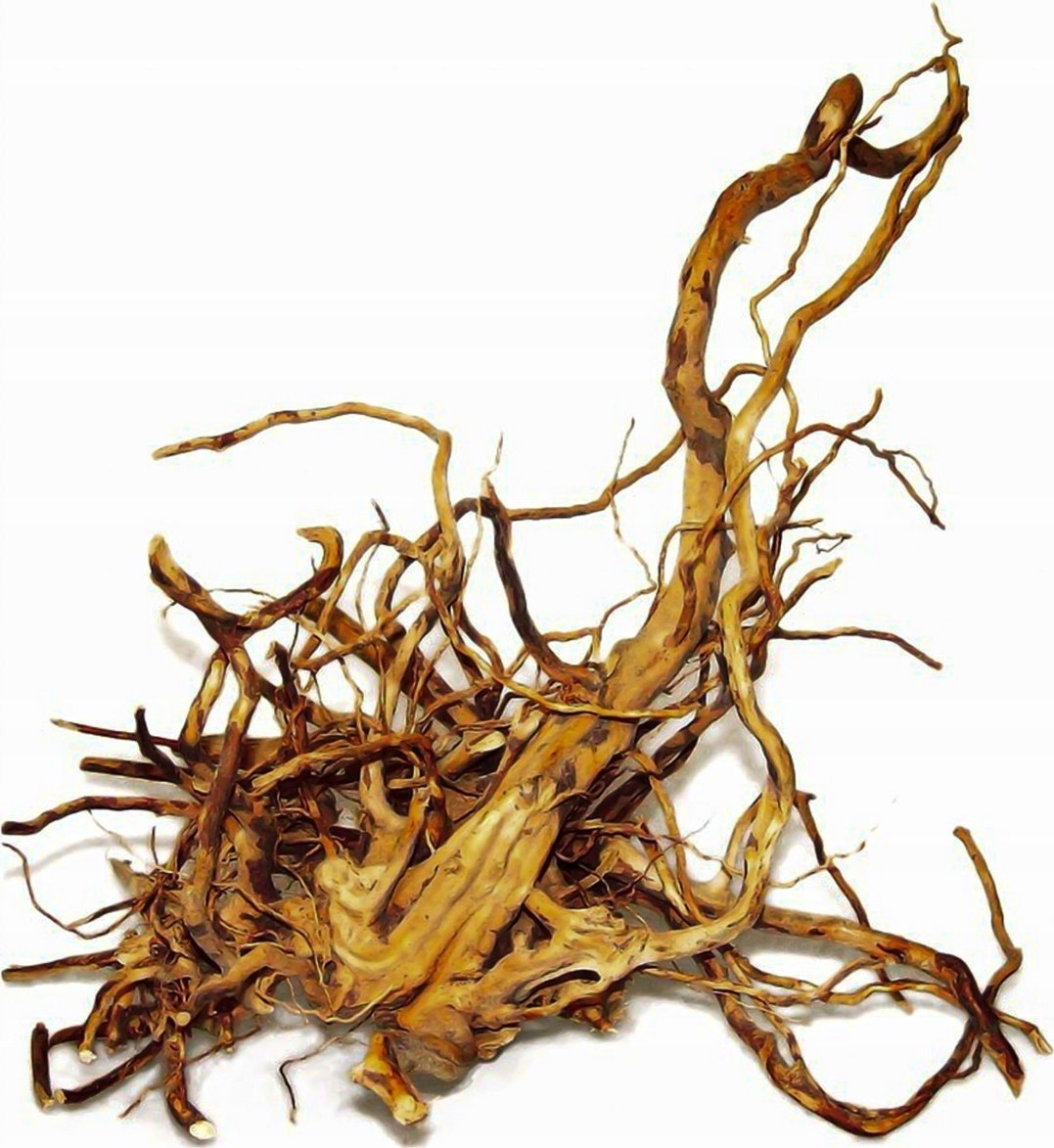 Happet Japoniška šaka XL (50 - 60 cm)