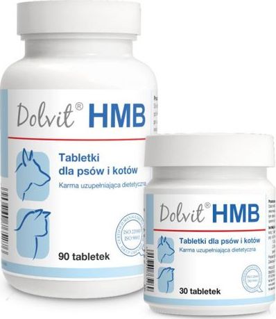 Dolfos Dolvit HMB 90 tabletek