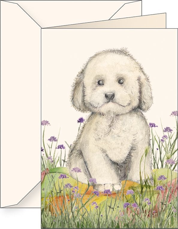 Tassotti Karnet B6 + koperta 6180 Pudel