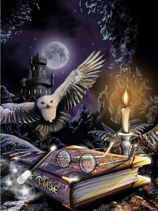 HAFT DIAMENTOWY 5D Zestaw Obraz MOZAIKA 40*60cm