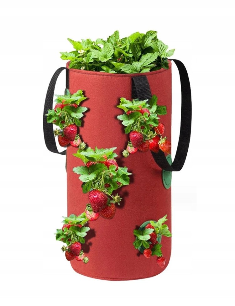 Doniczka WISZĄCA Worek POMIDORKI Warzywa TRUSKAWKI POZIOMKI KIESZENIE 35cm