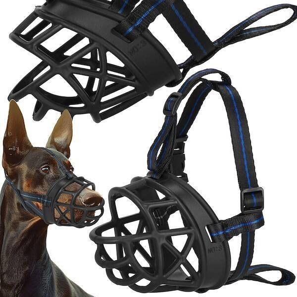 Springos Kaganiec dla psa rozm. XL fizjologiczny z regulowanymi paskami czarno-niebieski UNIWERSALNY