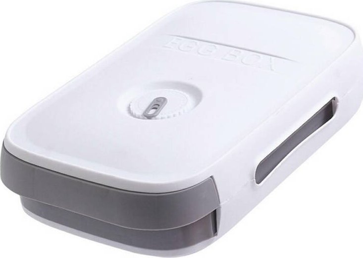 Aptel POJEMNIK do Przechowywania JAJEK Jaj na 18-20 jaj 29x22x7,5cm AG827A