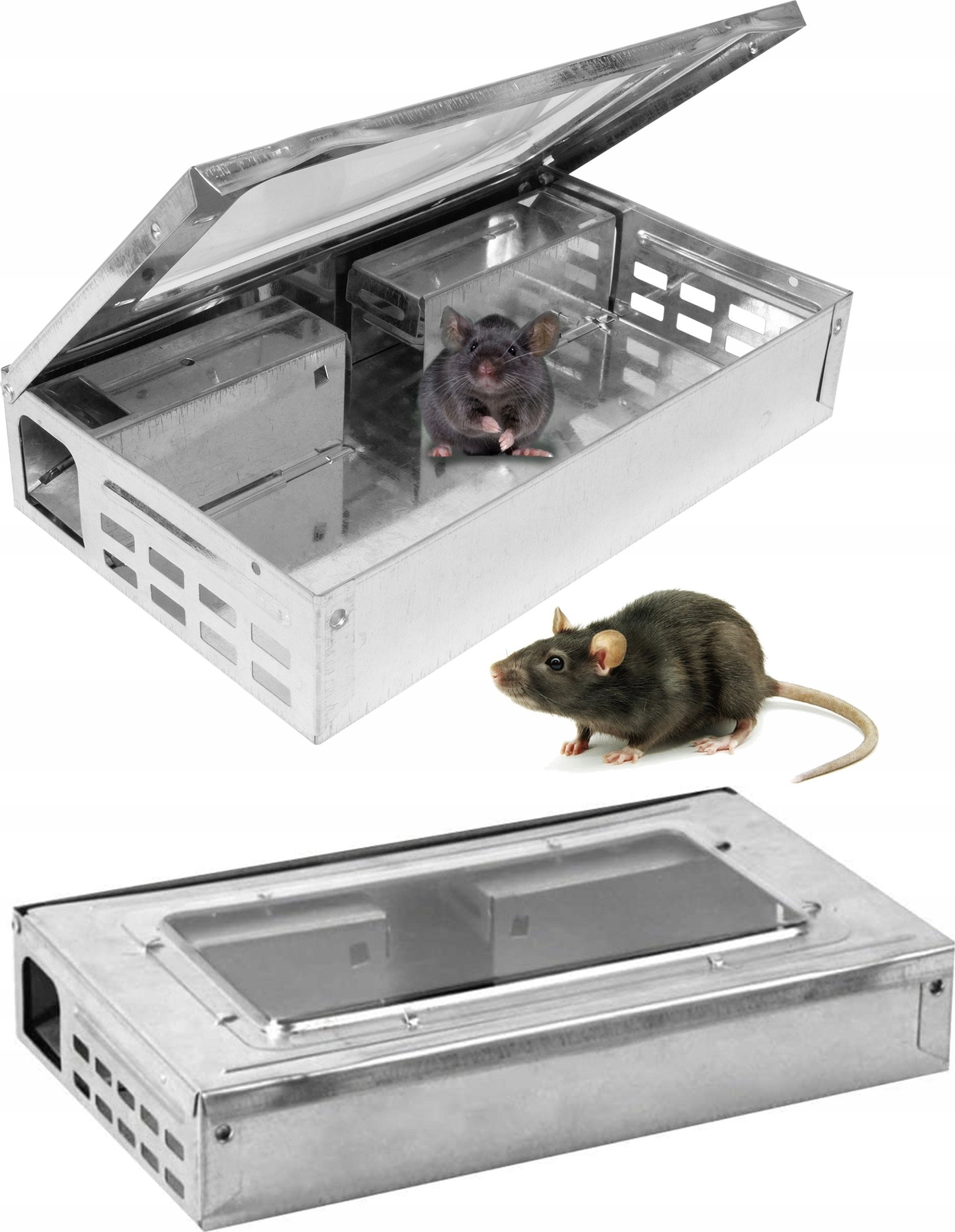 Pułapka na myszy Q25B