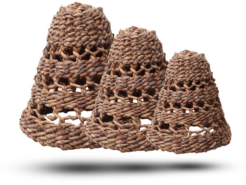 Zestaw Kloszy z Bananowca - Naturalny