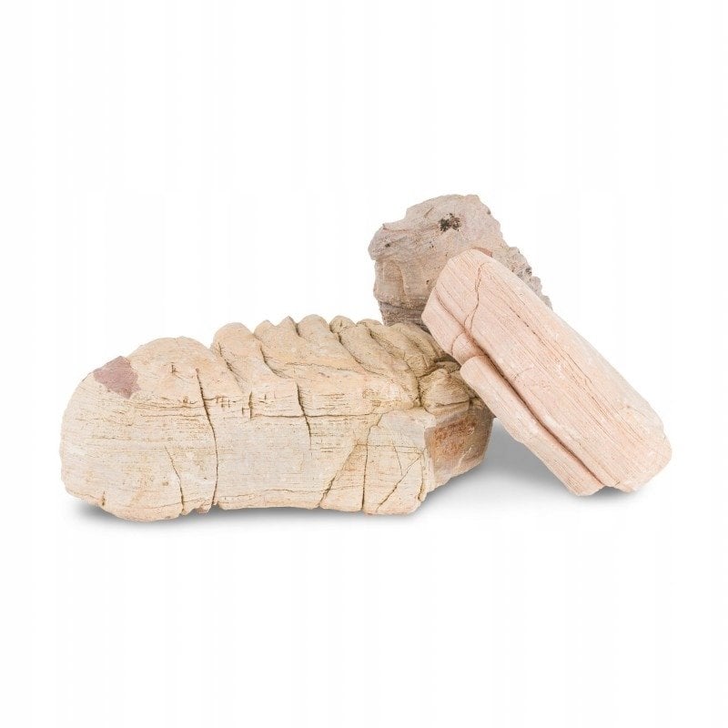 Skała warstwowa, dekoracyjna do akwarium / terrarium 10-40 cm