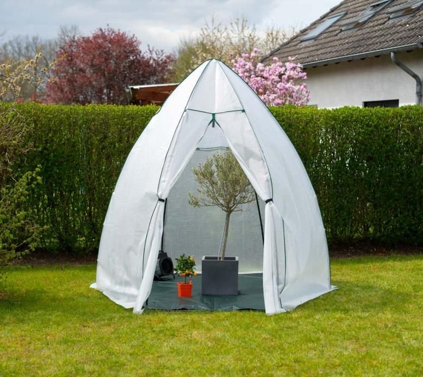 vidaXL Westman Namiot zimowy i szklarnia foliowa Awokado Biały 250x250x250cm