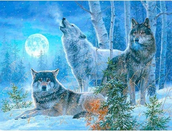 Norimpex Mozaika diamentowa 5D - Wilki 40x30cm