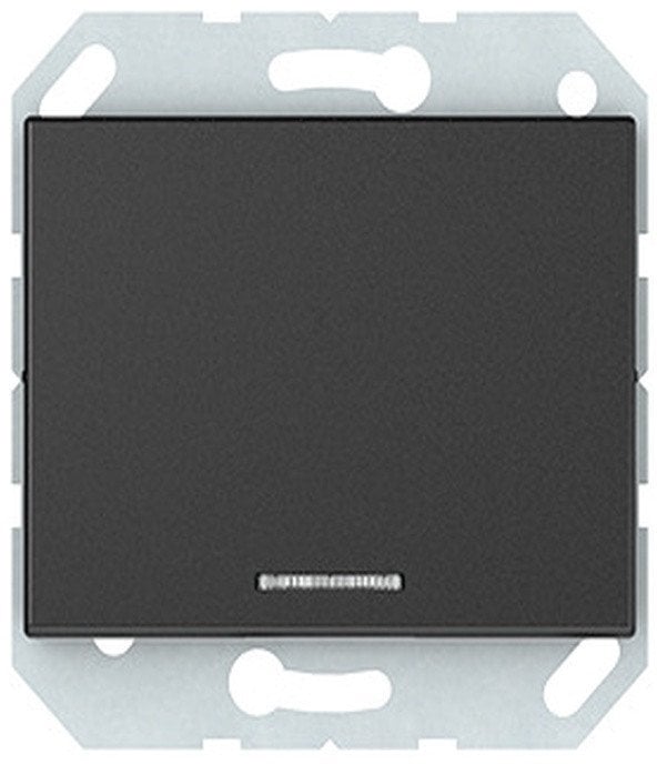 CONTROL SWITCH FLUSH NO FRAME ANT XP