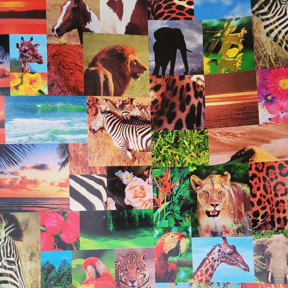 Fastima Papier zwierzatka do prezentów 57cmx25m 25m55