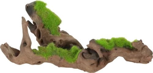 Zolux Zolux Ozdoba do akwarium korzeń malezyjski KIPOUSS S z nasionami