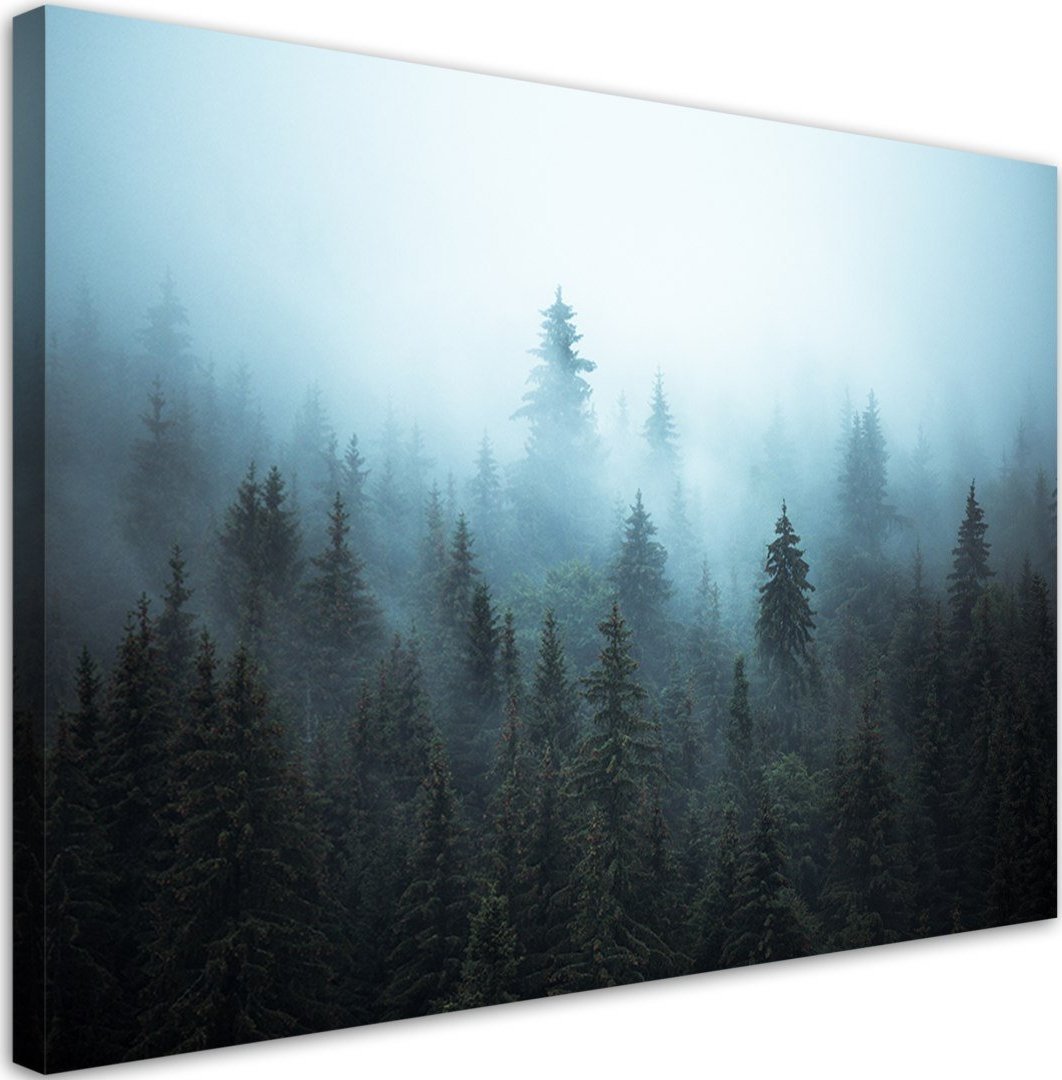 Feeby Obraz na płótnie, Las we mgle - 120x80