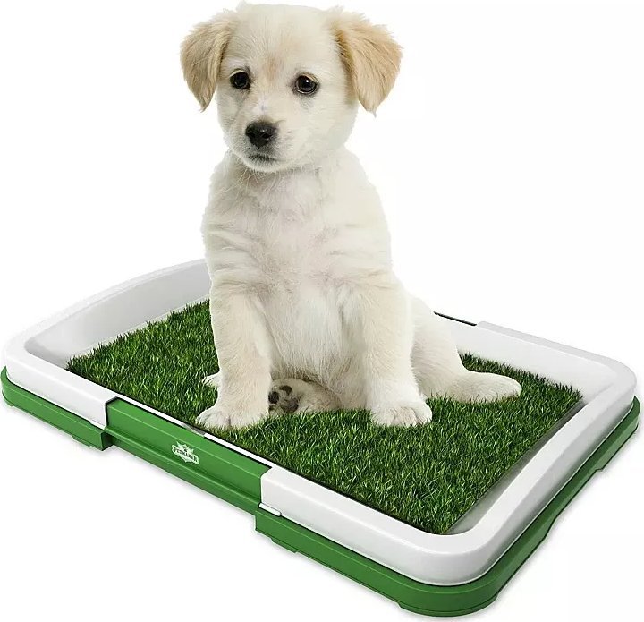 Tech-Led Puppy Potty Pad czyli kuweta mata dla psa szczeniaka ze sztuczną trawą Puppy Potty Pad czyli kuweta mata dla psa szczeniaka ze sztuczną trawą