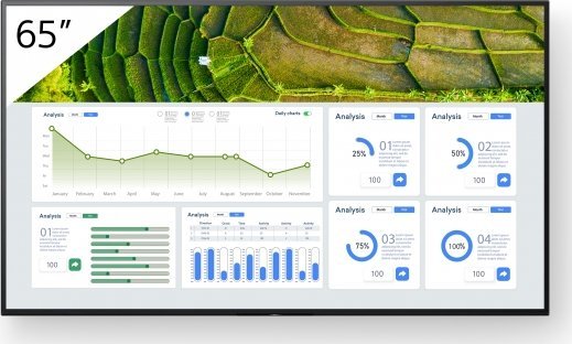 Monitor Sony Bravia FW-65BZ30L