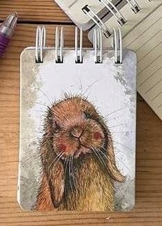 Incood Kołonotes A7 SSN49 Króliczek