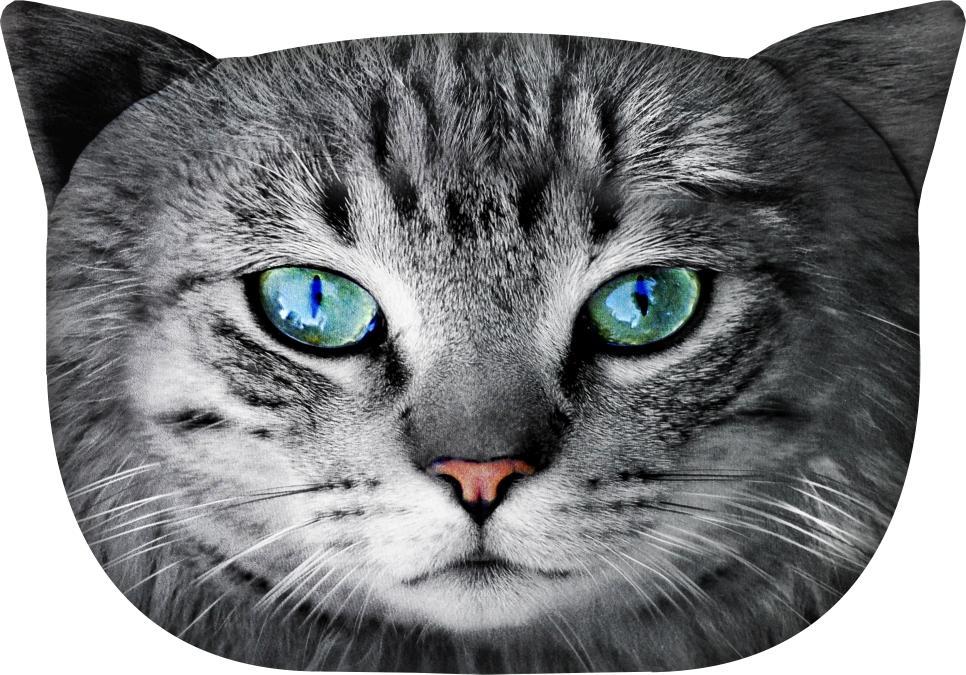 Bertoni-arco Poduszka Koty - FRYC