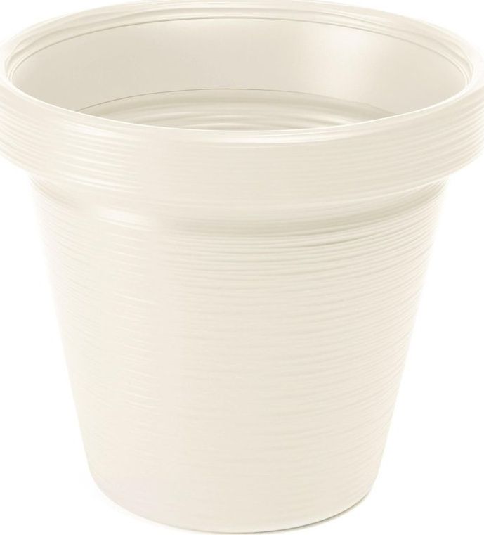 Lamela Doniczka Agawa Dłuto Kremowy H:40 cm 46x46 cm