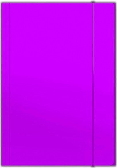 Barbara TECZKA KARTONOWA Z GUMKĄ A4 300 G/M2, FIOLETOWY