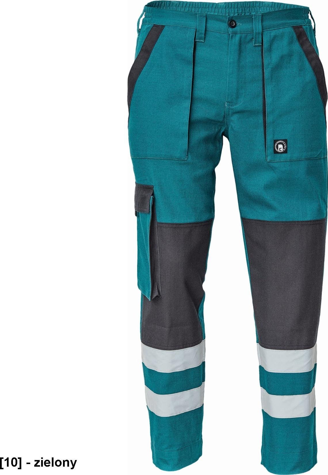 CERVA MAX NEO RFLX - spodnie - zielony 56