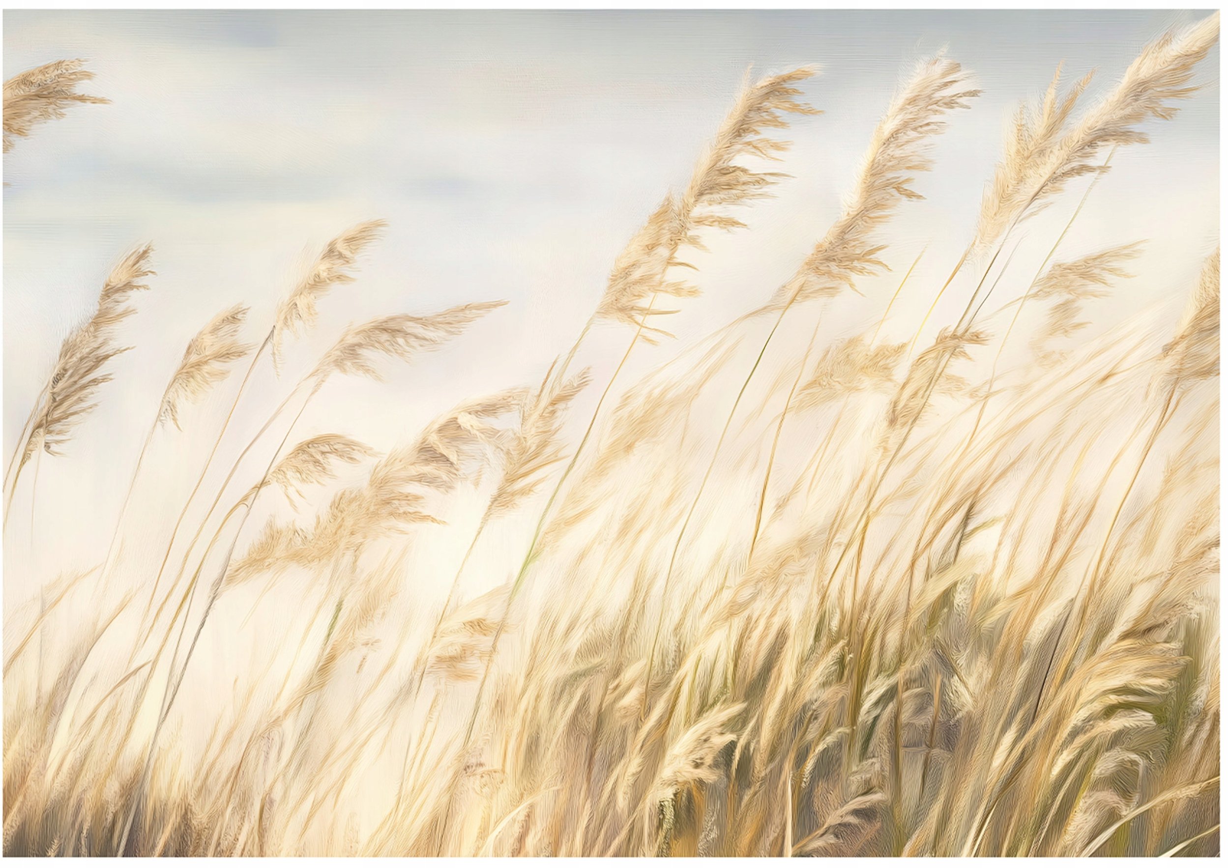 Fototapeta Trawa Pampasowa Natura Sypialnia Salon Tapeta Flizelina 250X175