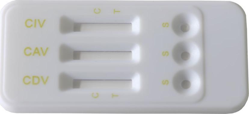 Selflab Szybki test Selflb na choroby układu oddechowego psa CDV/CAV/CIV Ag