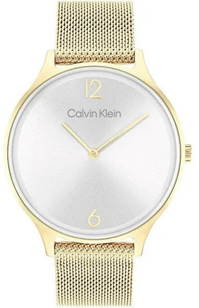 Zegarek Damski CALVIN KLEIN Timeless Mesh 25200003 + BOX