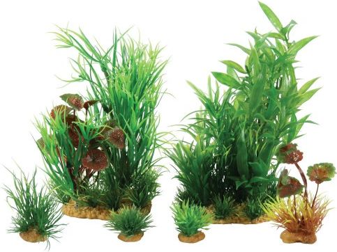 Zolux Dekoracja roślinna PlantKit Jalaya model 2 (352146)