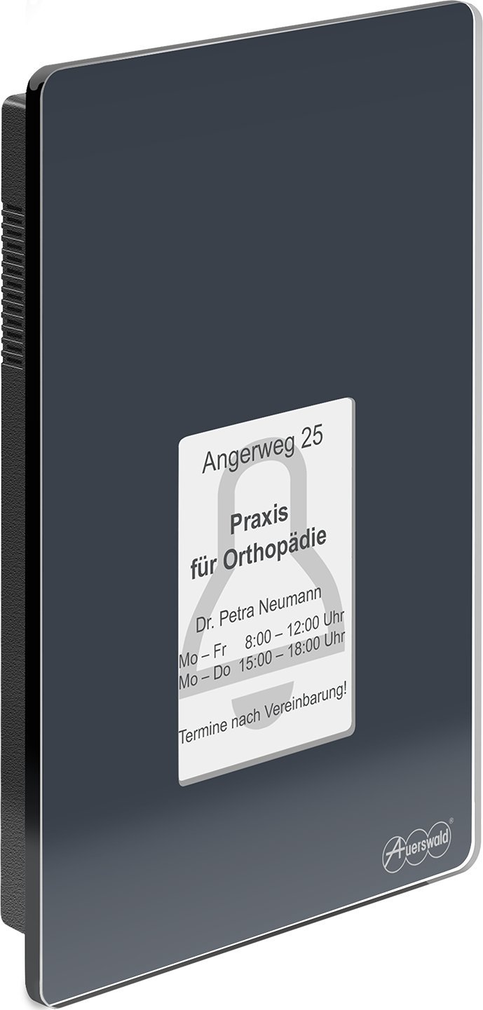 Auerswald AUERSWALD TFS-Dialog 400, 4 Taster, anthrazit