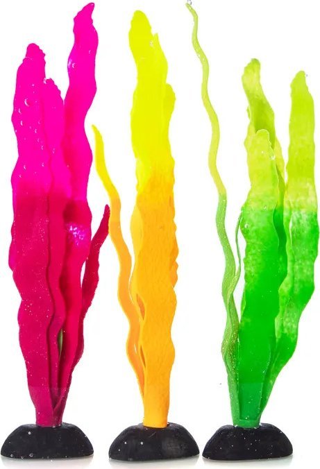 Nobleza Odblaskowe rośliny wodne Odblaskowe rośliny wodne