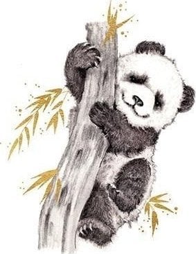 Karnet złocony kwadrat CL3816_BL Panda