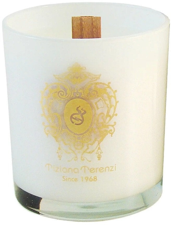 Tiziana Terenzi Spicy Snow świeca zapachowa 170g