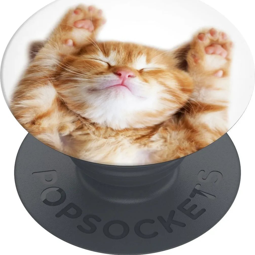 Podstawka PopSockets Popsockets Uchwyt na telefon Snoozy Cat standard