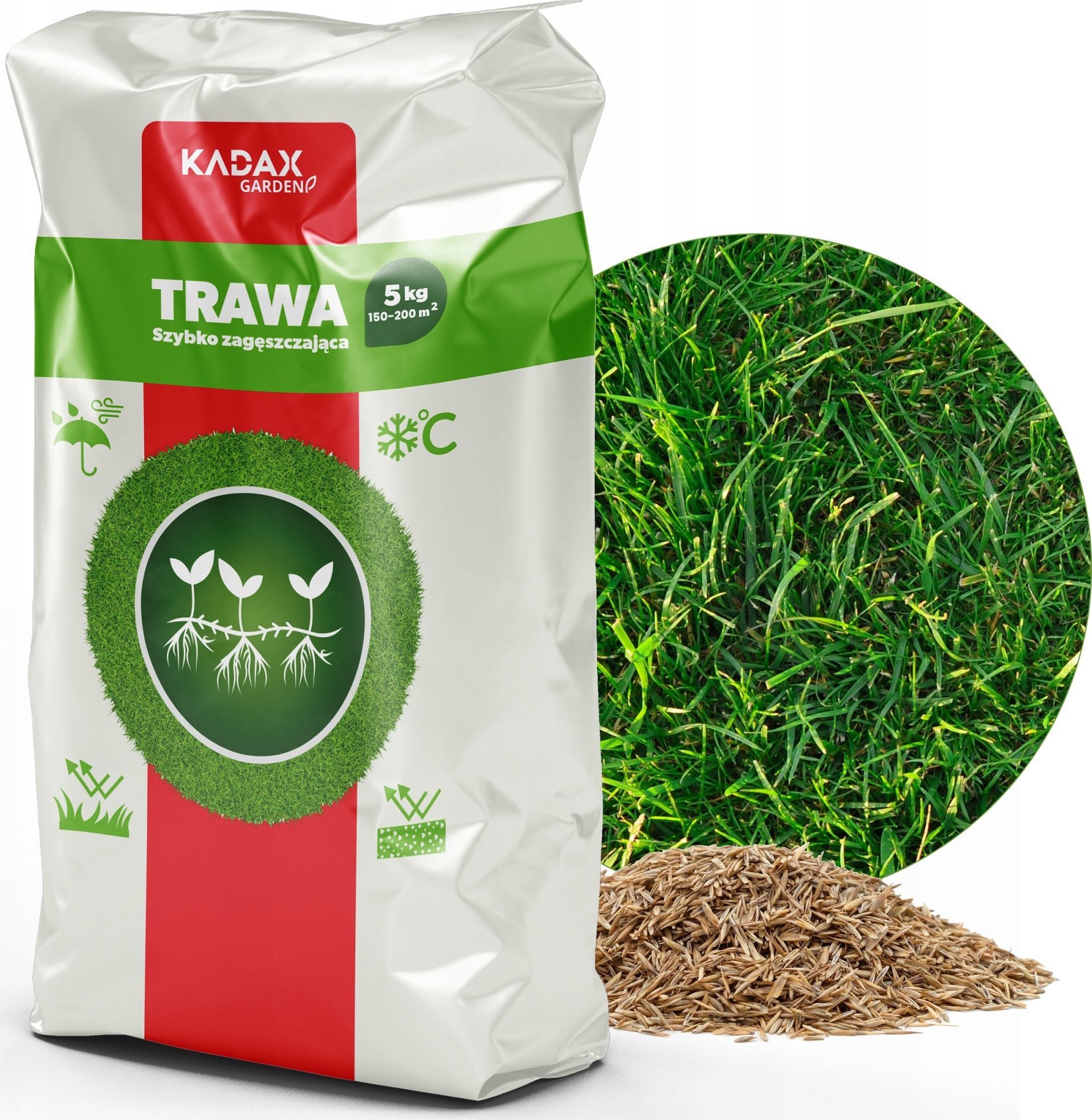 Kadax Trawa Uniwersalna Szybko Zagęszczająca 5kg 200M2