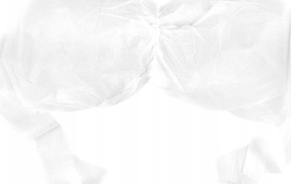 Activeshop Jednorazowy biustonosz biały 10 szt.