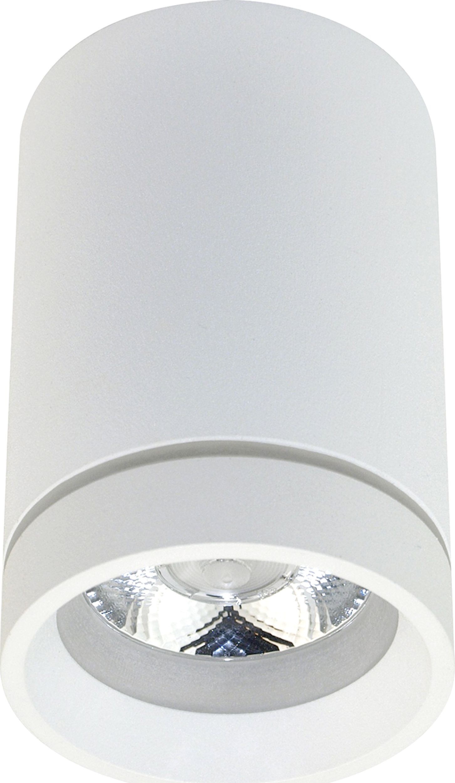 Lampa sufitowa Azzardo Oprawa sufitowa biała AZzardo Bill 10W ledowa AZ3375