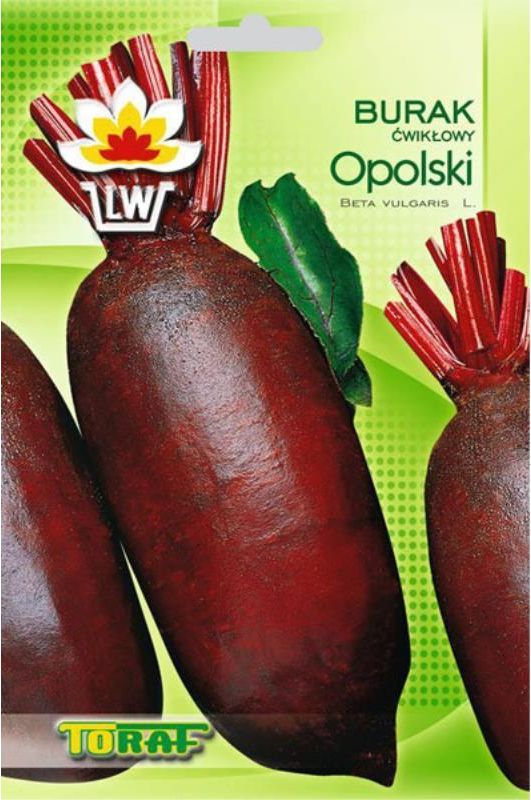 Toraf Burak ćwikłowy Opolski nasiona warzyw 10g TORAF
