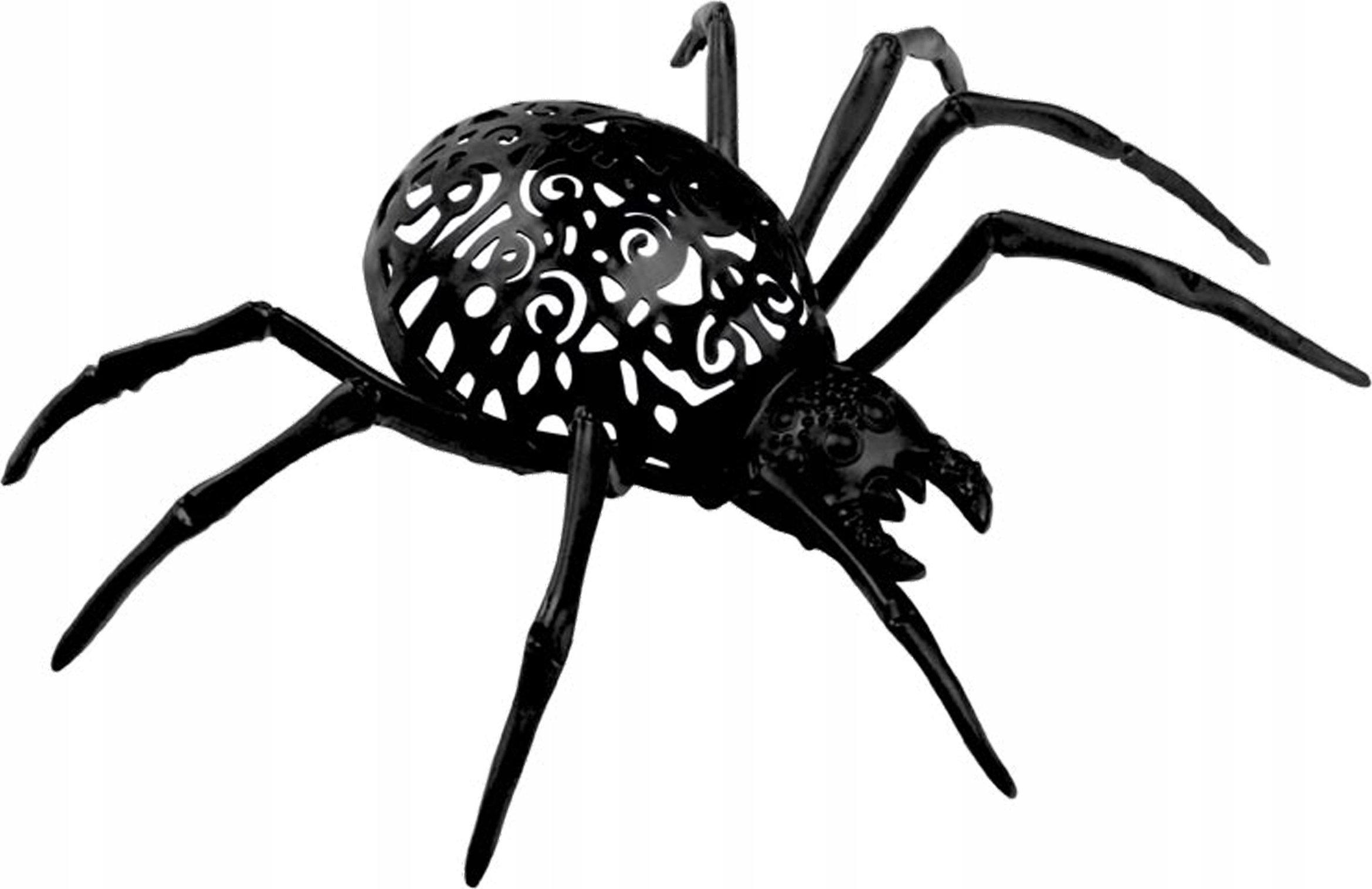 MFP paper pająk kolorowy 14cm mix kolorów 1042396