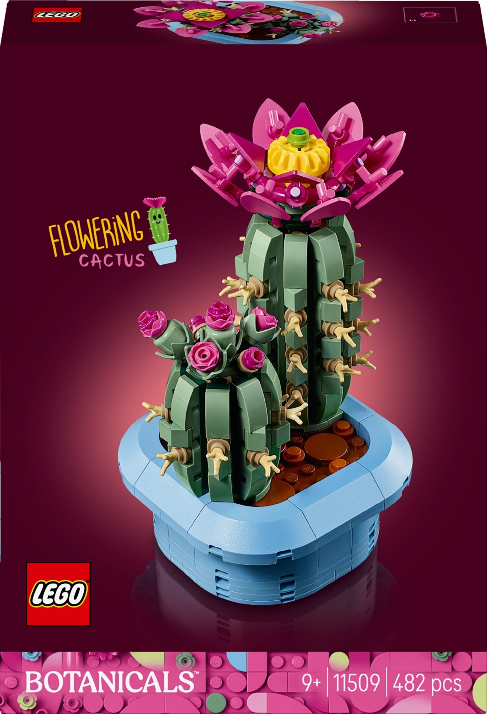 LEGO Botanicals Kwitnący kaktus (11509)