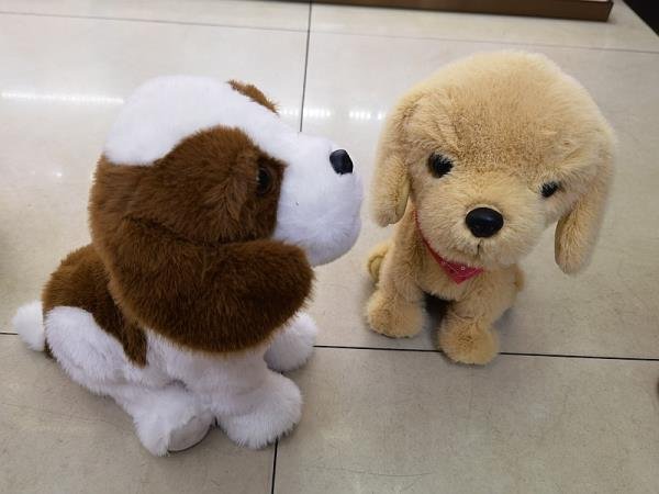 Adar Piesek 543751 mix 1 szt.