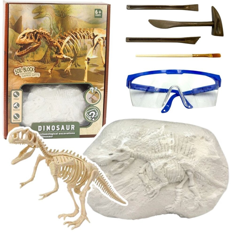 Zestaw Paleontologa Wykopaliska Szkielet Dinozaura Narzędzia