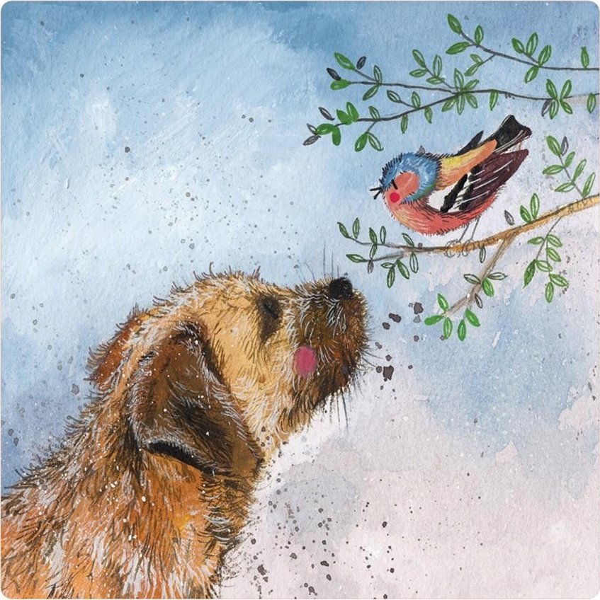 Teka Magnes FM230 Pies Oscar