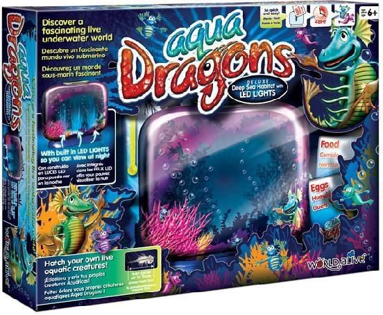 Aqua Dragons Aqua Dragons Zestaw podstawowy z lampką LED - 234068