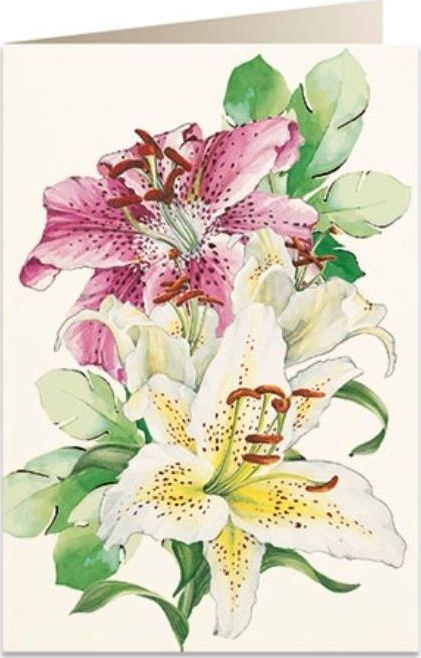 Tassotti Karnet B6 + koperta 5932 Lilie 2