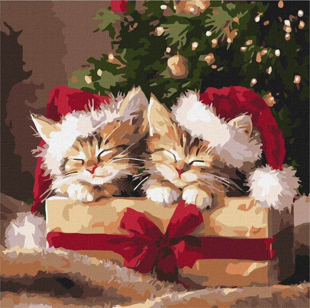 Malowanie po numerach - Puszyste prezenty 40x40cm