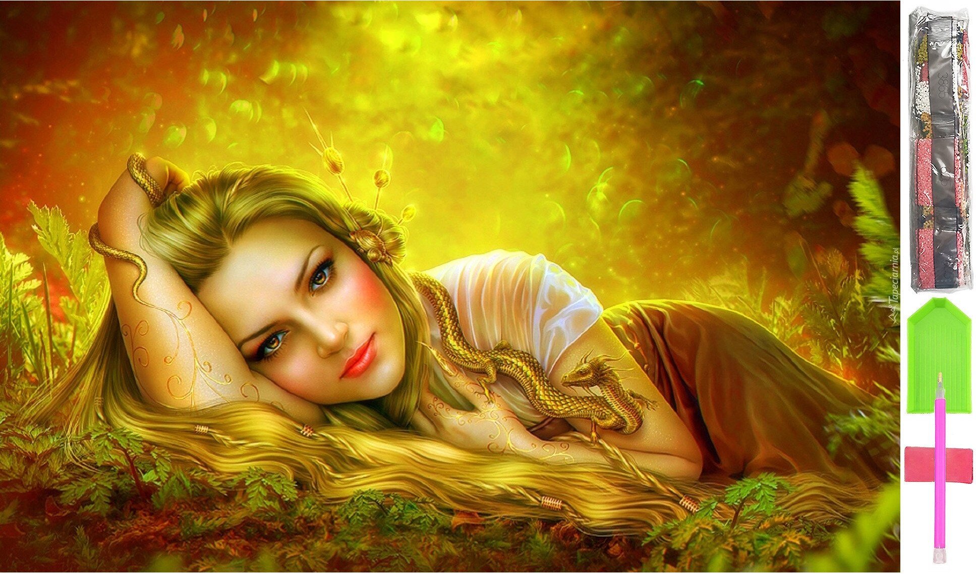 HAFT DIAMENTOWY 5D Zestaw Obraz MOZAIKA 40*60cm