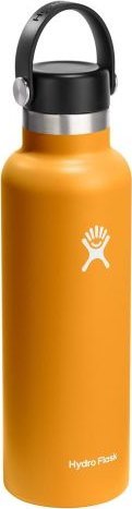 Hydro Flask Butelka 21oz Standard Mouth Flex Cap, Fossil 621 ml / Hydro Flask