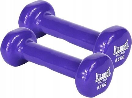 Allright Hantle Fe04025 winylowe 2 x 0.5 kg